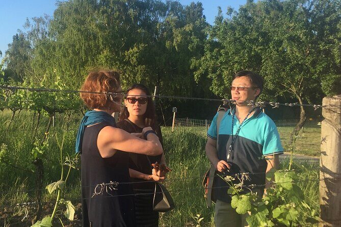 Vienna Wine Experience - Who Should Consider This Tour?