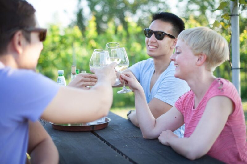 Vienna: Wine Tasting E-Bike Tour - Final Thoughts