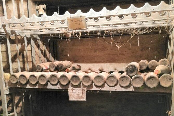 Vienna Woods Wine Tour - Wines, Vines & Good Times! - Final Thoughts