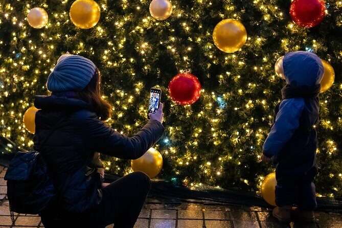 Vienna's Christmas Market Magic Tour - FAQs