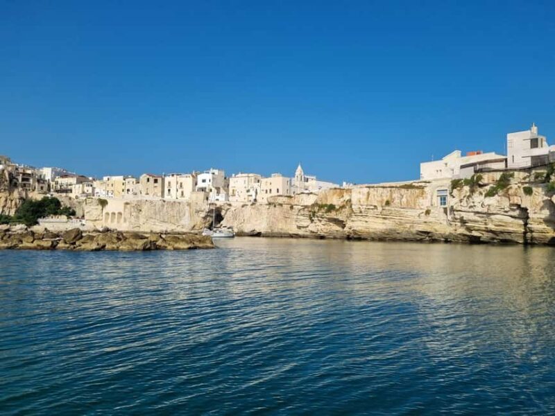 Vieste: South coast boat excursion with swim stop - Who Should Consider This Tour?