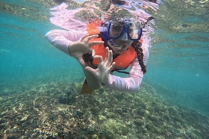 Viewpoints and Snorkeling EN Playa La Entrega - Final Thoughts