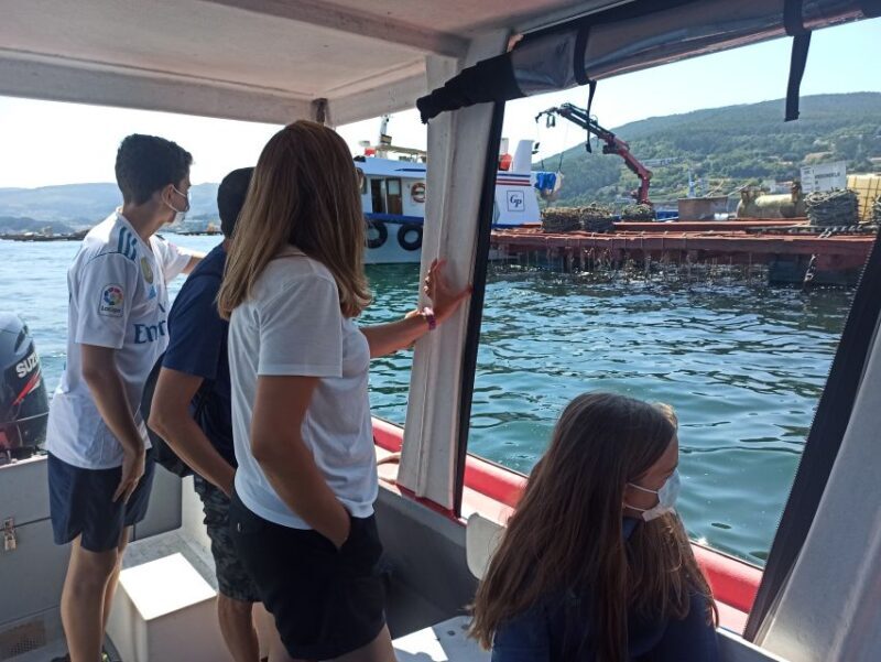 Vigo: Bay of San Simón Mussel Farming Tour - Who Should Consider This Tour?