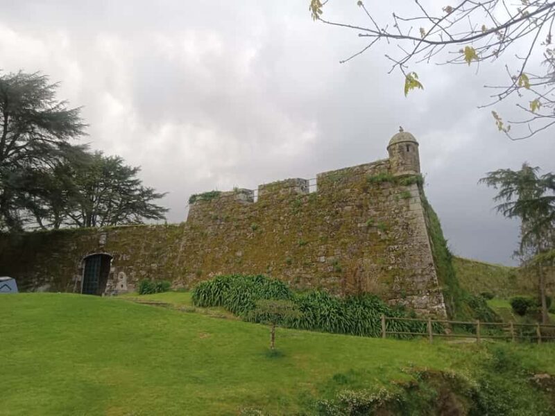 Vigo Express - by bus and on foot - Why Consider Vigo Express?