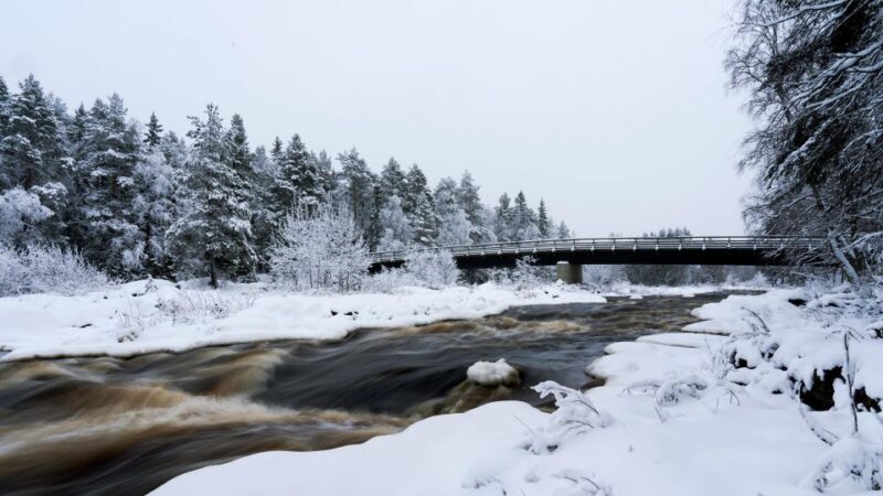 Vikakongas Hike: Nature and Silence - Key Points