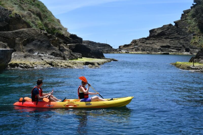 Vila Franca do Campo: Kayak Rental - How the Experience is Structured