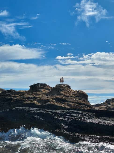 Vila Franca do Campo: Marine Life & Bird Watching & Islet Tour - An Honest Look at the Tour Experience