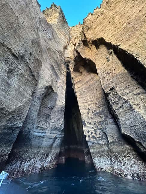 Vila Franca do Campo: Marine Life & Bird Watching & Islet Tour - FAQ