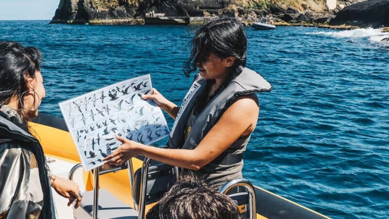 Vila Franca Islet: Biologist Guided Eco Boat Tour - A Deep Dive into the Experience