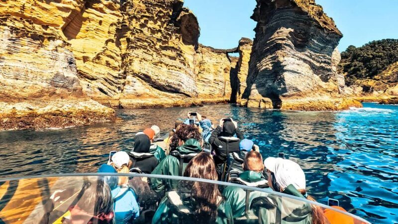 Vila Franca Islet: Biologist Guided Eco Boat Tour - FAQs