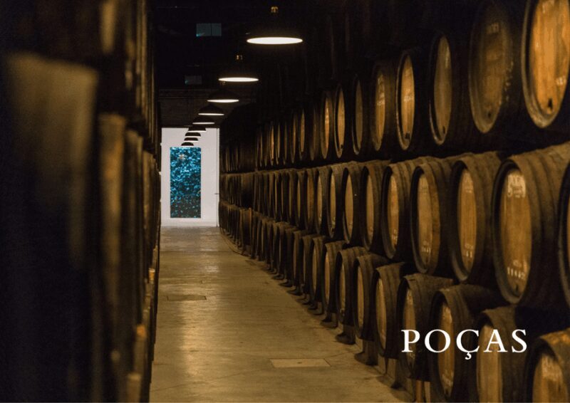 Vila Nova de Gaia: Winery Tour with 2 DOC Douro & 2 Ports - A Closer Look at the Itinerary