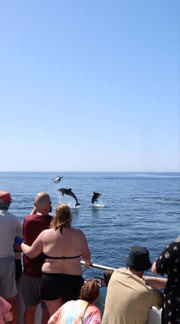 Vilamoura: Boat Tour Dolphin Quest - Vilamoura: Boat Tour Dolphin Quest – A Friendly Guide to Marine Encounters in Algarve