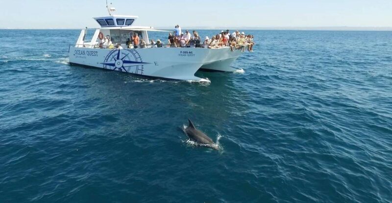 Vilamoura: Boat Tour Dolphin Quest - What to Expect During the Tour
