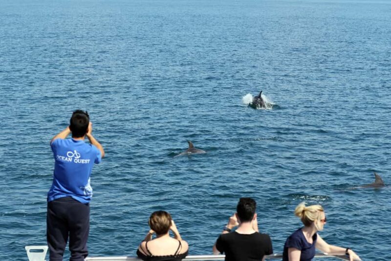 Vilamoura: Boat Tour Dolphin Quest - Why the Price is Fair for What You Get