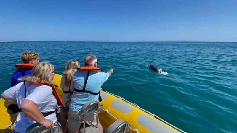 Vilamoura: Private Boat Tour Benagil Cave and Marinha Beach - FAQ