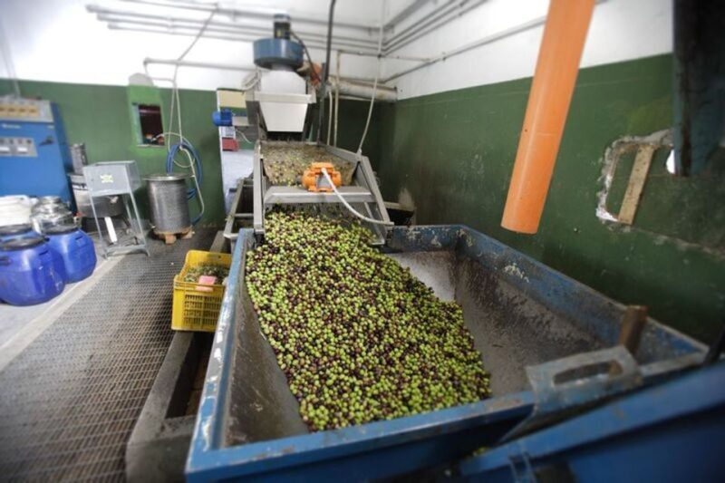 Villa Castelli: Highlights Walking Tour w/ Olive Oil Tasting - Price and Value: Is It Worth It?