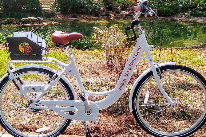 Village Bicycle Rental Free Delivery in The Villages Florida - The Practical Details