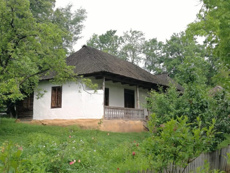 Village Museum Bucharest Guided Tour - In-depth look at the experience
