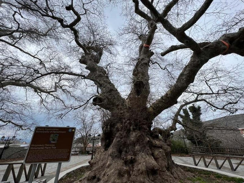 Village Vibes Tour of Heraklion Mainland and Lasithi Plateau - Final Thoughts