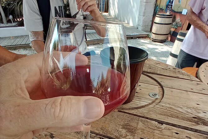 Villages and wine tasting around the Pic Saint Loup - The Full Experience: What You Can Expect