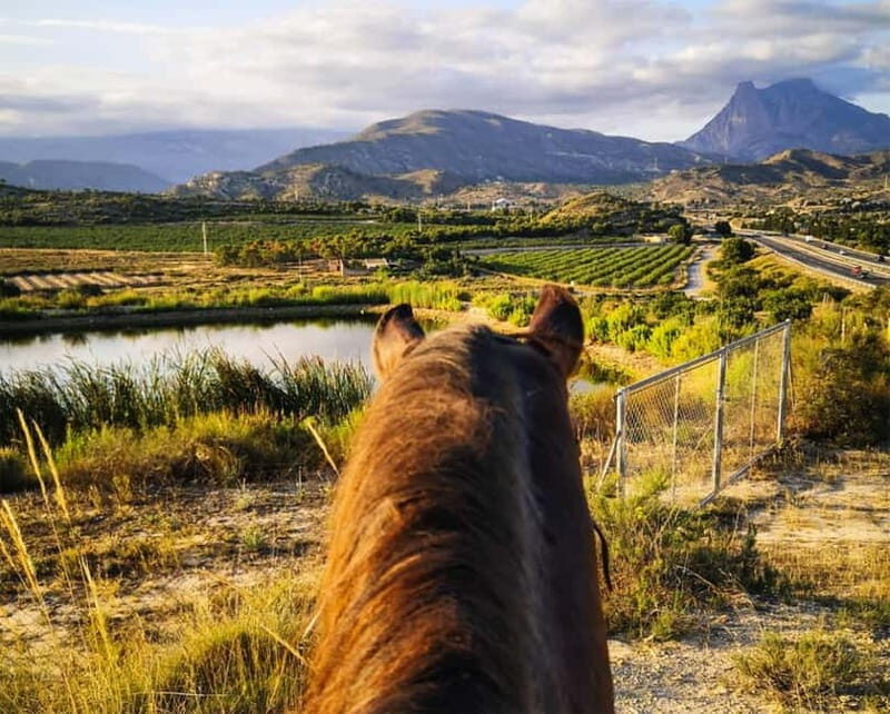 Villajoyosa: Horseback Riding in the Mountains - The Ride: What to Expect