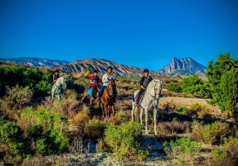 Villajoyosa Horseback Riding in the Mountains with sea views - What to Expect from the Horseback Riding Tour