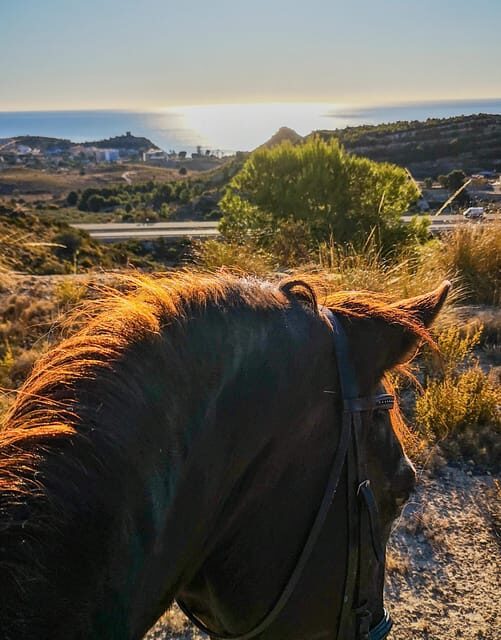 Villajoyosa Horseback Riding in the Mountains with sea views - Authentic Feedback from Participants