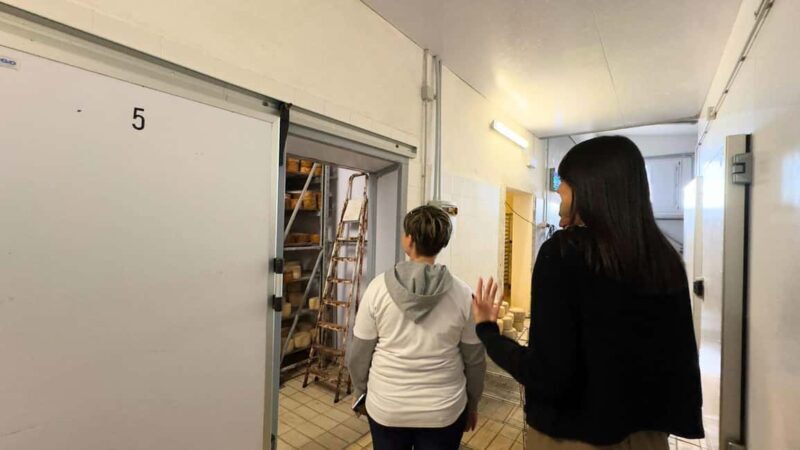 Villanova Monteleone: visit a dairy farm with cheese tasting - Who Should Consider This Tour?