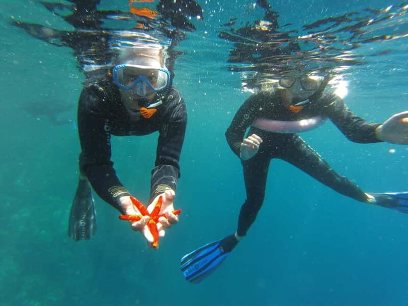 Villefranche-sur-Mer: guided snorkeling to discover the aquatic world - The Experience’s Strengths and Considerations