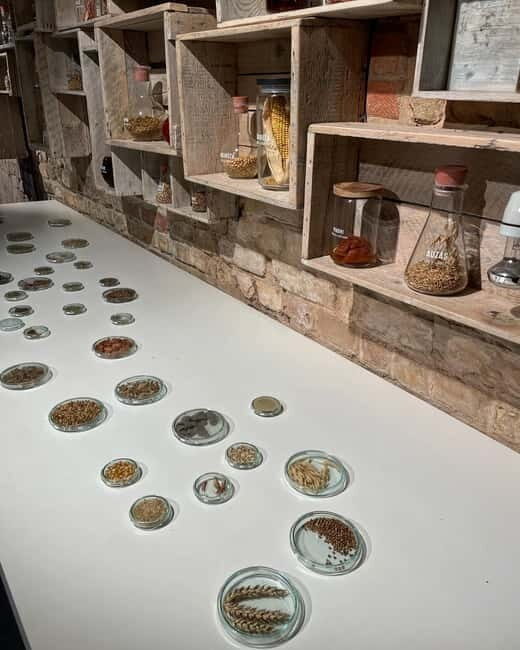 Vilnius: Beer Tasting Experience with Snack Platter - What Real Participants Say