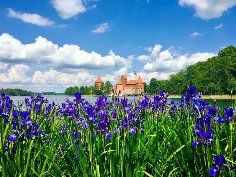 Vilnius: Half-Day Sightseeing Tour to Trakai - Who Is This Tour Best For?
