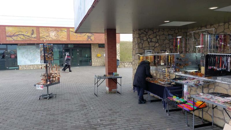 (Vilnius)Siauliai train station-Jelgava train station(Riga). - Dive Into the Experience