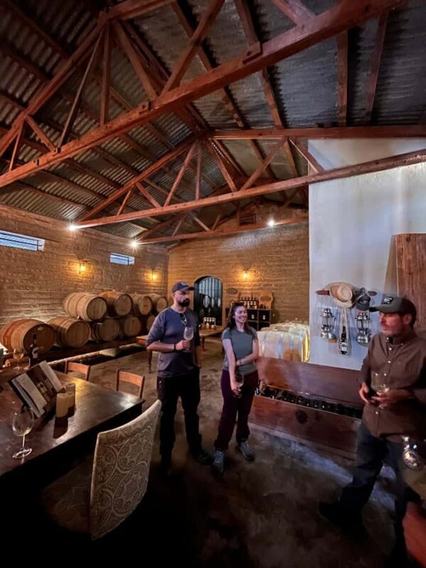 Viña Cordelia: Guided visit to the vineyard - A Closer Look at the Viña Cordelia Tour