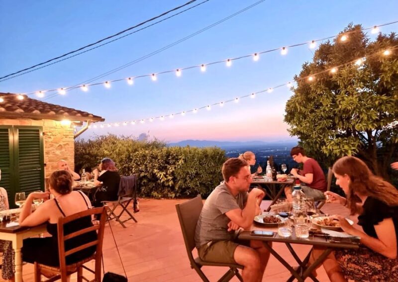 Vinci: Homemade Dinner and Oil Tasting Tour in a Tuscan Farm - Discovering the Heart of Tuscany at Podere Rondinaio