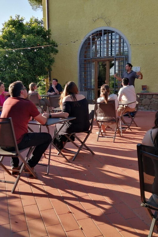 Vinci: Homemade Dinner and Oil Tasting Tour in a Tuscan Farm - Is It Worth The Price?