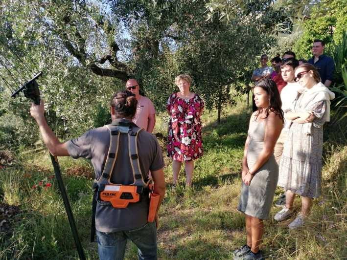 Vinci: Homemade Dinner and Oil Tasting Tour in a Tuscan Farm - Who Will Love This?