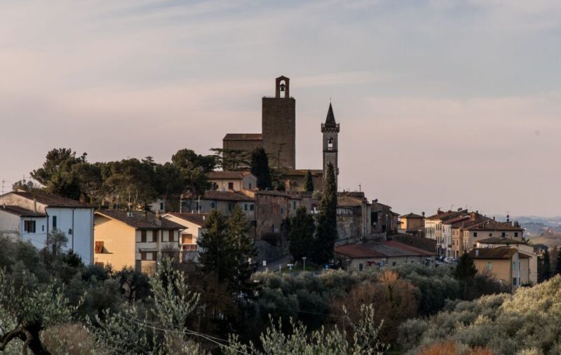 Vinci: Leonardiano Museum & Da Vinci Birthplace Ticket - Who Should Consider This Tour?