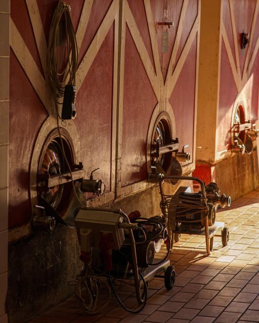 Vinci: wine-experience among the Tuscan hills - Vinci: Wine Experience Among the Tuscan Hills – A Detailed Look