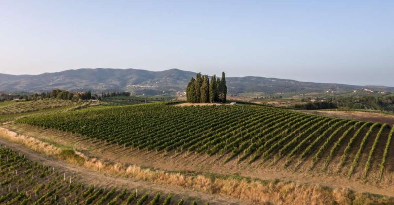 Vinci: wine-experience among the Tuscan hills - How This Tour Fits Into Your Trip
