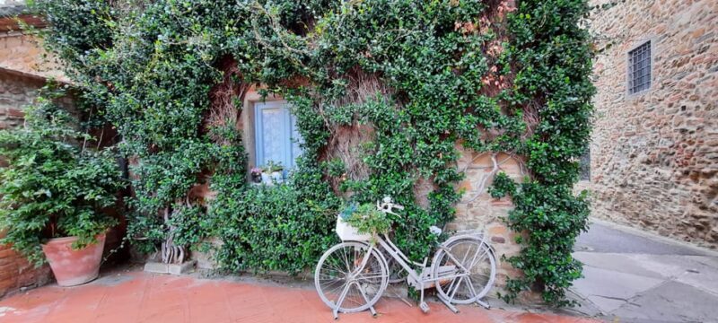 Vinci:Discovering Leonardo's Origins & Aperitif in Vineyards - Discovering Leonardo’s Origins & Aperitif in Vineyards: An Honest Look