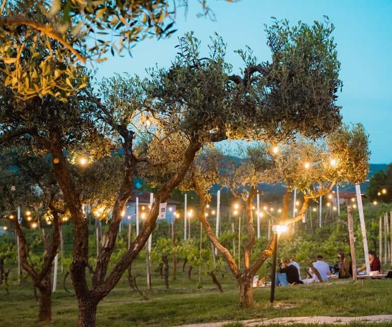 Vinci:Discovering Leonardo's Origins & Aperitif in Vineyards - FAQs