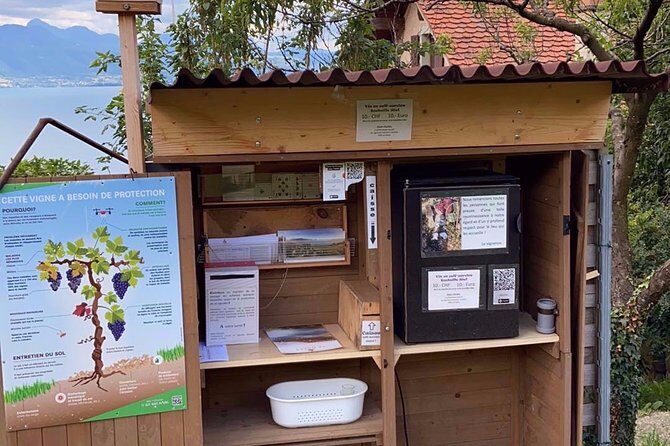 Vine Stories: Lavaux & Lutry wine walk - An In-Depth Look at the Lavaux & Lutry Wine Walk