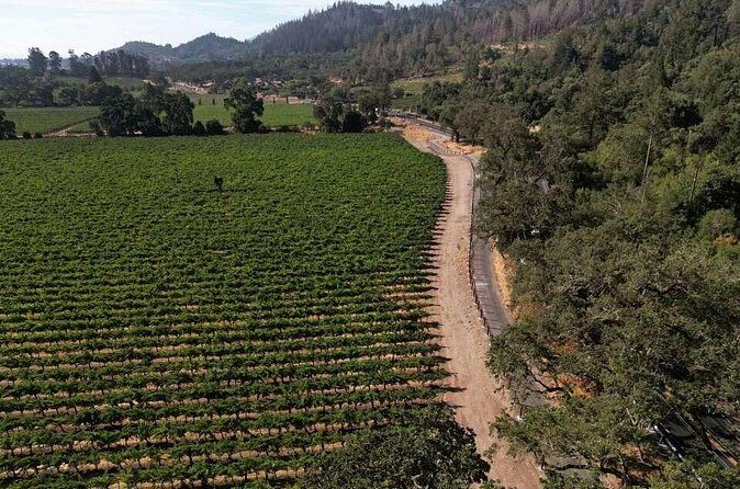 Vine Trail Discovery E-Bike Tour - Practical Details and What to Expect