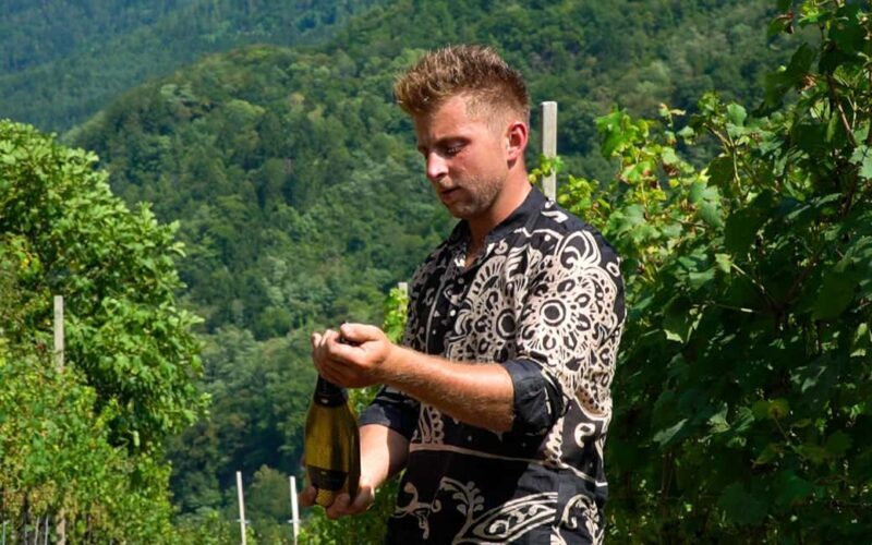 vineyard experience - What to Expect from the Vineyard Experience in Trentino