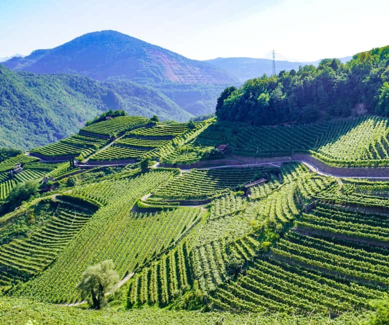 vineyard experience - The Practical Side: Cost, Duration, and Accessibility