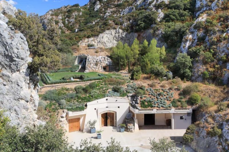 Vineyard of the Alpilles by bike - Real Experiences from Travelers