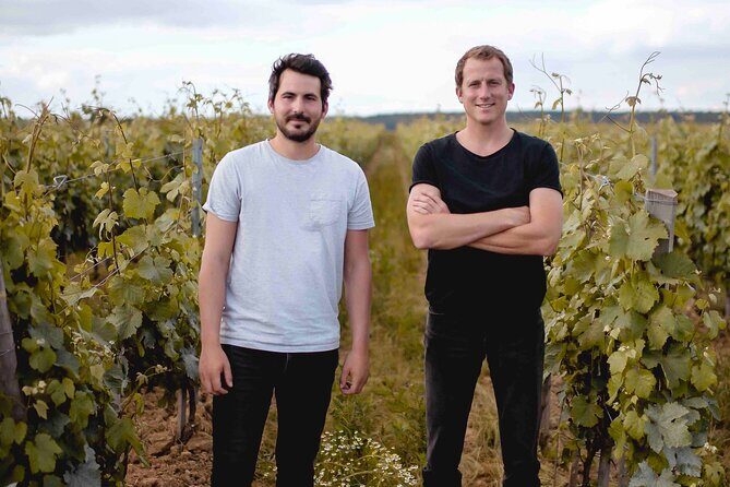 Vineyard tour and wine tasting in Davron - Practical Tips for Your Visit