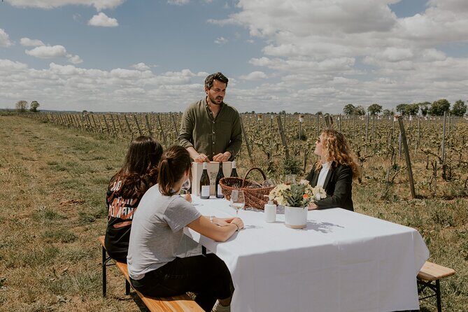 Vineyard tour and wine tasting in Davron - The Sum Up