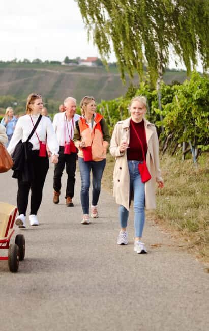 Vineyard tour around Nordheim am Main on the Main Loop - Key Points