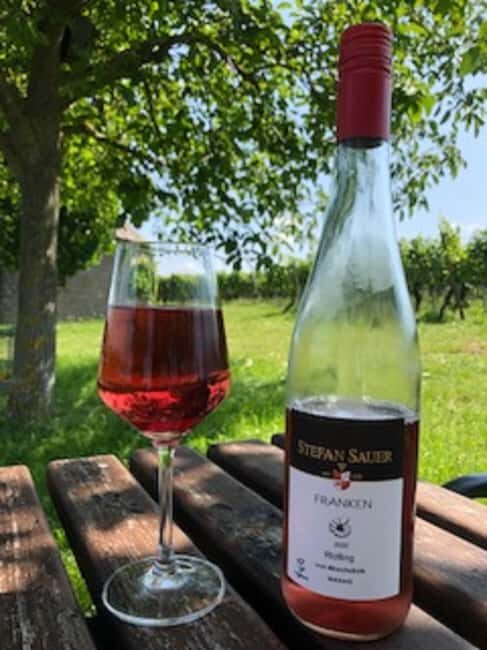 Vineyard tour around Nordheim am Main on the Main Loop - A Closer Look at the Vineyard Tour Experience